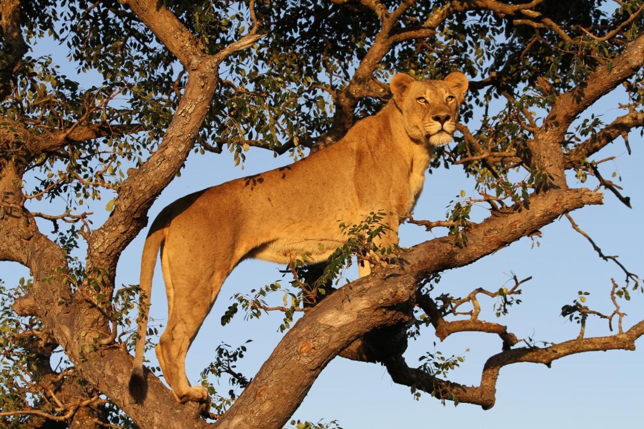 Sungulwane Private Game Lodge Hluhluwe Zewnętrze zdjęcie