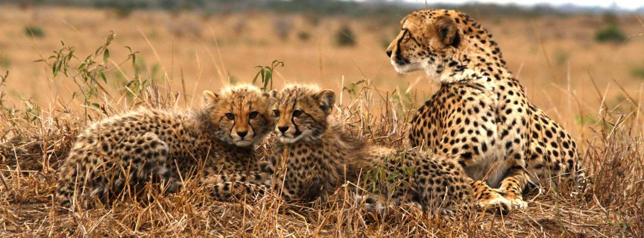 Sungulwane Private Game Lodge Hluhluwe Zewnętrze zdjęcie