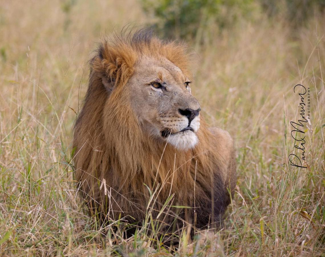Sungulwane Private Game Lodge Hluhluwe Zewnętrze zdjęcie