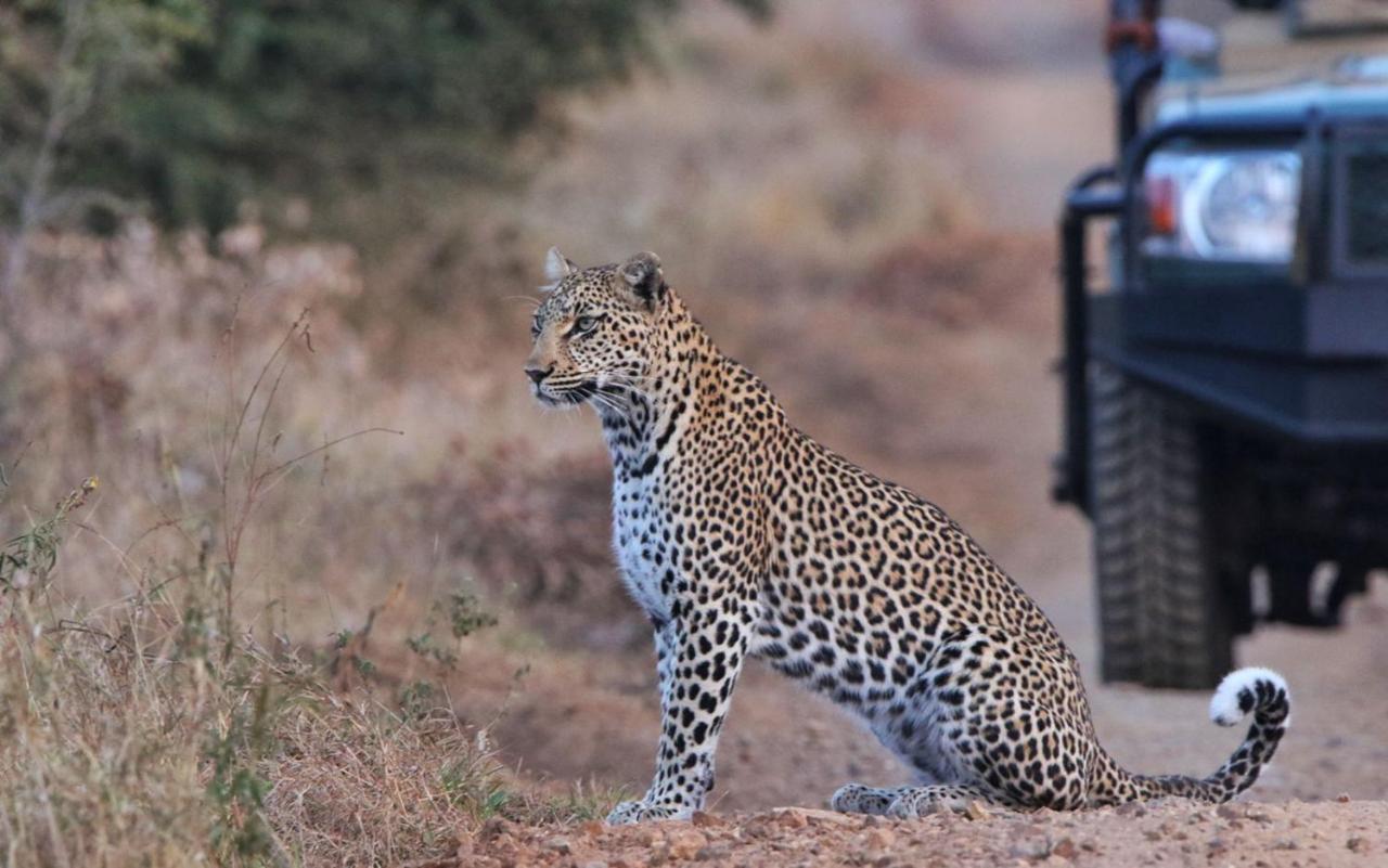 Sungulwane Private Game Lodge Hluhluwe Zewnętrze zdjęcie